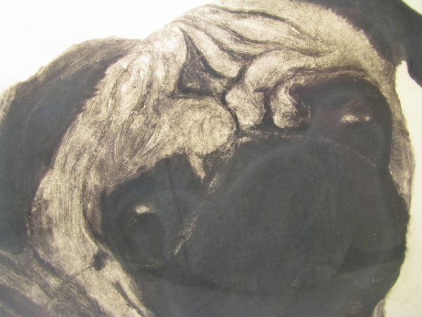 FINE SANDY HARTLEY ENGRAVING OF PUG DOG: Pencil signed and dated on the lower left, Sandy Hartley 1997. Sweet depiction of a pug dog. Framed dimensions are 20" by 19 1/4" and 1 1/2" deep. Visible image is 7 1/2" by 7 1/2. Good condition.
