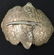 ANTIQUE RUSSIAN SILVER BELT BUCKLE & CLIPS - 2