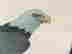 item-80017090=3