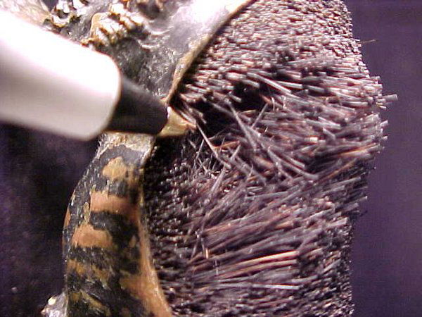 ANTIQUE BRONZE POODLE FIGURINE NIB BRUSH - 4