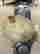 item-83112053=2