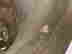 item-84868148=8