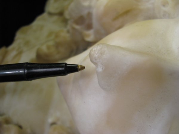 19TH C. CARVED ALABASTER BUST OF A YOUNG WOMAN - 5