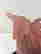item-92181696=8