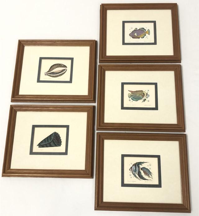 FIVE FRAMED DAN MITRA SEA LIFE SIGNED ETCHINGS (1 of 7)