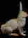 item-96192007=3