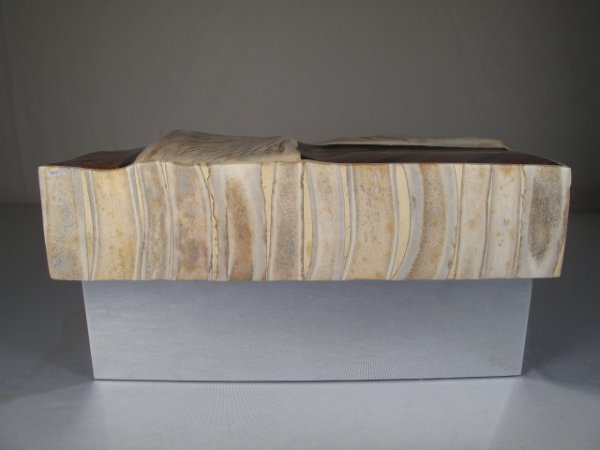 GENE JONSON & MARCIUS CHROME ANTLER EBONY BOX