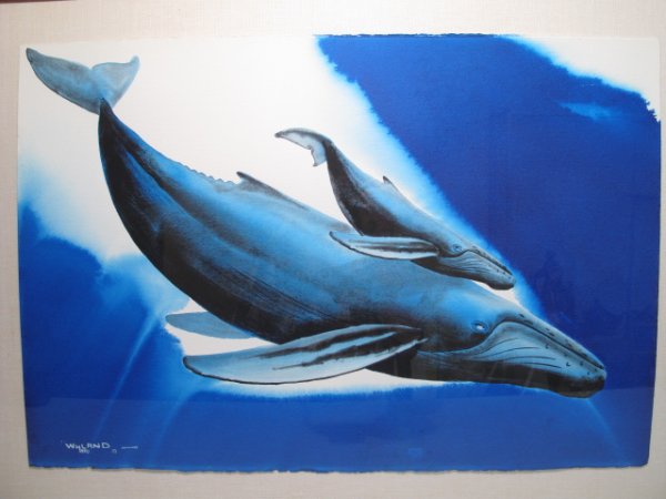WYLAND ORIGINAL WATERCOLOR PAINTING WHALE & CALF: Original watercolor by Robert Wyland depicting a whale and her calf. Signed l.r. and dated 1990 in Hawaii. Watercolor measures 20" x 29 1/2". Frame measures 33" by 43". Weight: 14 lbs. Condition: good