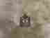 item-104876789=7