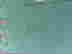 item-104876799=11