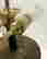 item-104877331=5