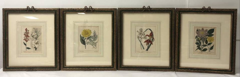 HAND-COLORED ENGRAVED BOTANICAL BOOKPLATES, 4: 4, British, antique (1st published 1805-06 but prints are probably c. 1880 - 1900), image size, 8 1/2" 6 3/4", engraved by F. Sanfom, painted by "Syd. Edwards", each mounted in a period gilt wood fram