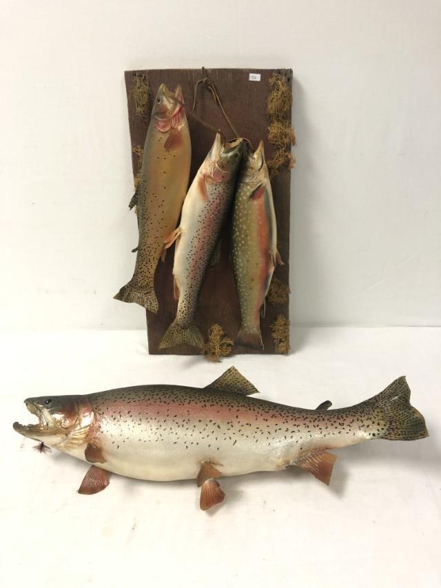 FOUR TAXIDERMY MOUNTED TROUT (1 of 12)