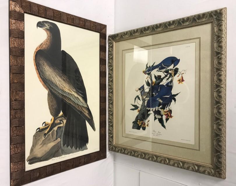 AFTER J.J. AUDUBON, COLOR FACSIMILE PRINTS, 2 (1 of 19)