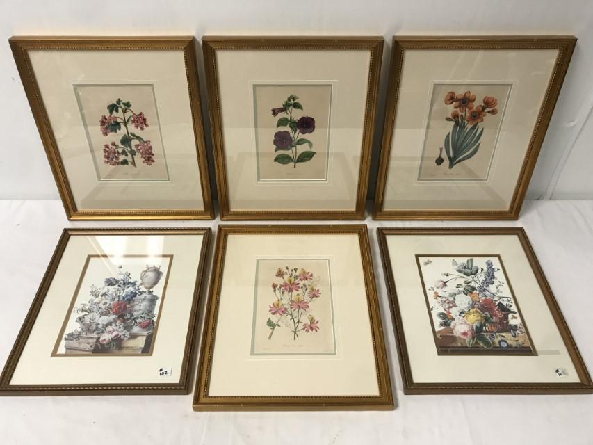 FLOWERING PLANT PRINTS, 8 TOTAL (1 of 14)