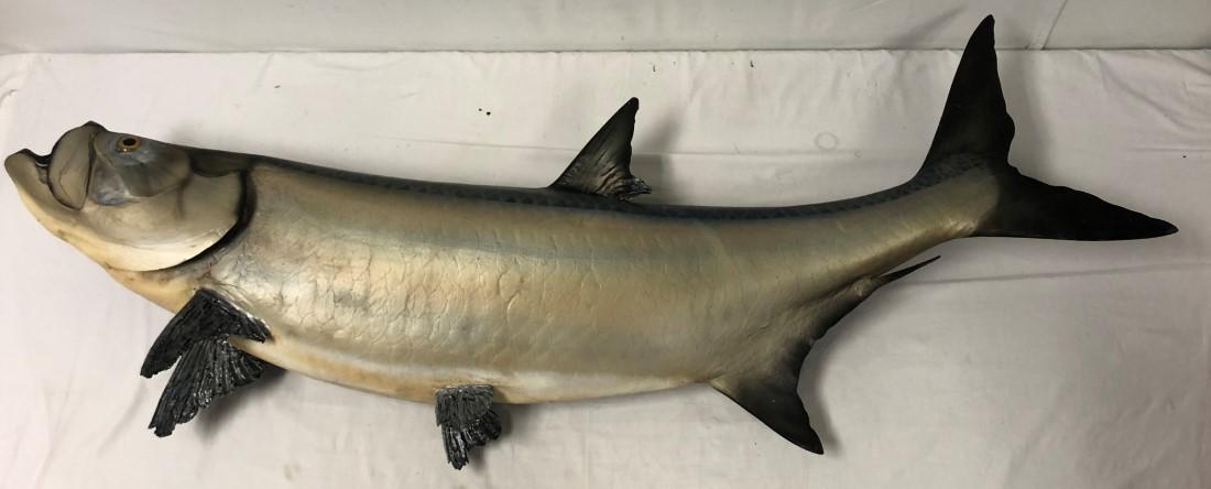 TARPON FISH TROPHY, L 64", W 22": Not mounted, 20th c.. Condition: chips and cracks, slight bending of the fins. Weight: circa 15 - 20 lbs. - exact weight unknown.