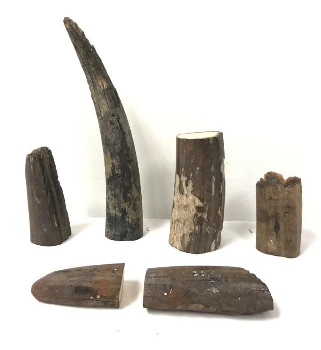 SIX ANCIENT WALRUS TUSK FOSSIL FRAGMENTS: Lot of six assorted ancient Walrus tusk fossil fragments. Longest measures 13" long and shortest measures 4" long. Condition: normal signs of age and wear, minor losses, see images. Weight: 6.2 lbs.