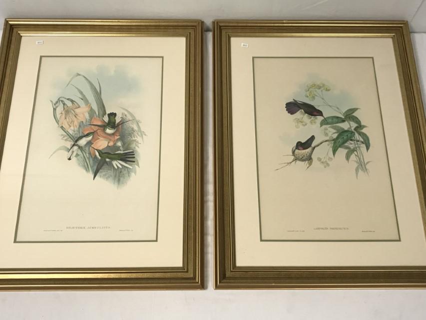 PAIR - GOULD & RICHTER, HAND COLORED LITHOGRAPHS, (1 of 14)