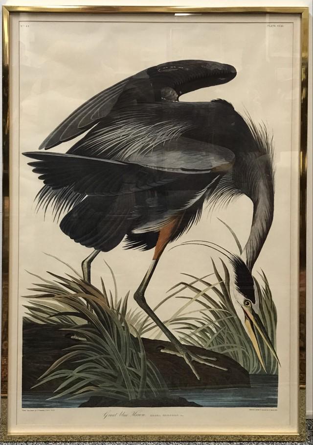 AFTER AUDUBON HAVELL, OFFSET LITHOGRAPH, w/ BOOK (1 of 12)