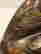 item-124373311=15