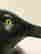 item-124373311=3