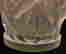 item-128095102=4
