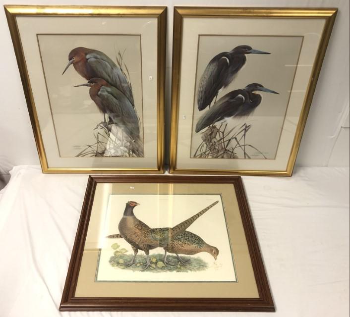 LOT OF 3 FRAMED ORNITHOLOGICAL PRINTS (1 of 20)