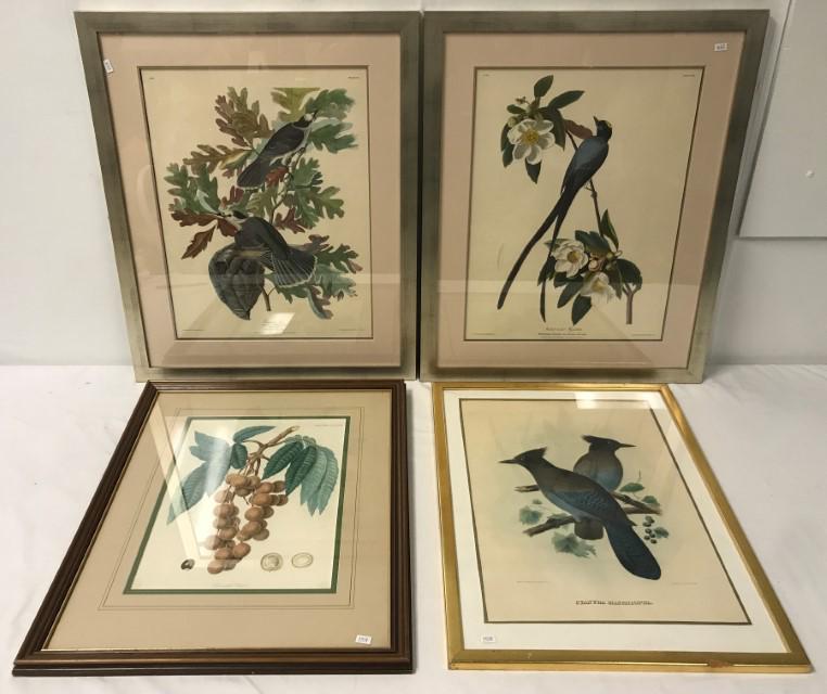 FOUR FRAMED LITHOGRAPHS: AVIARY & BOTANICAL (1 of 15)