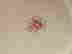 item-134311793=8