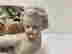 item-134311820=4