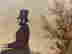 item-134311847=11