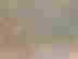 item-134311847=6