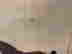 item-134311847=7