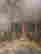 item-134311850=16