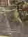 item-134311850=17