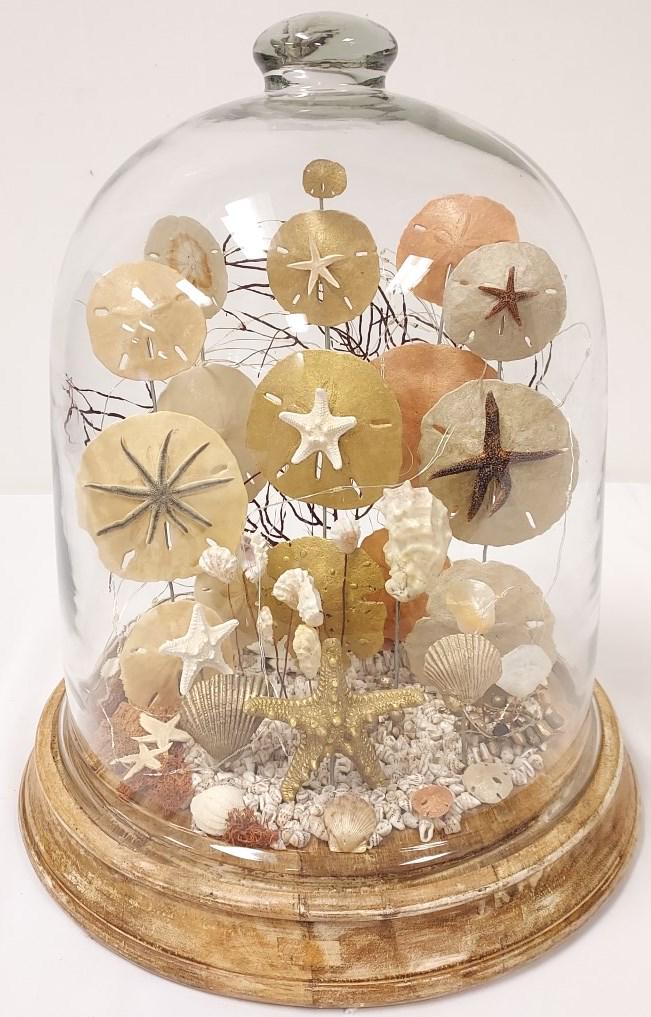 VINTAGE SEASHELL DIORAMA IN GLASS CLOCHE DOME (1 of 8)
