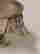 item-134312073=5