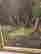 item-134312105=15