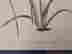 item-134312136=5