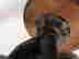 item-134312147=14
