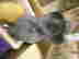 item-1158086=4