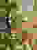 item-10663454=6