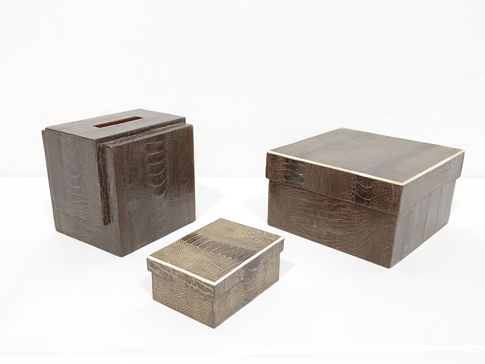 R & Y AUGOUSTI REPTILE SKIN BOXES & TISSUE COVER (1 of 13)