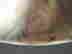 item-11159689=3