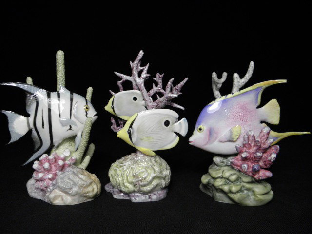 THREE ROYAL WORCESTER PORCELAIN FISH AFTER R. VAN : Three Royal Worcester porcelain fish modelled after Ronald Van Ruyckevelt. Includes the rare #3563 "Four Eyed Fish", #3574 "Blue Angel, and #3579 "Spade Fish". All marked on base with title, along wit