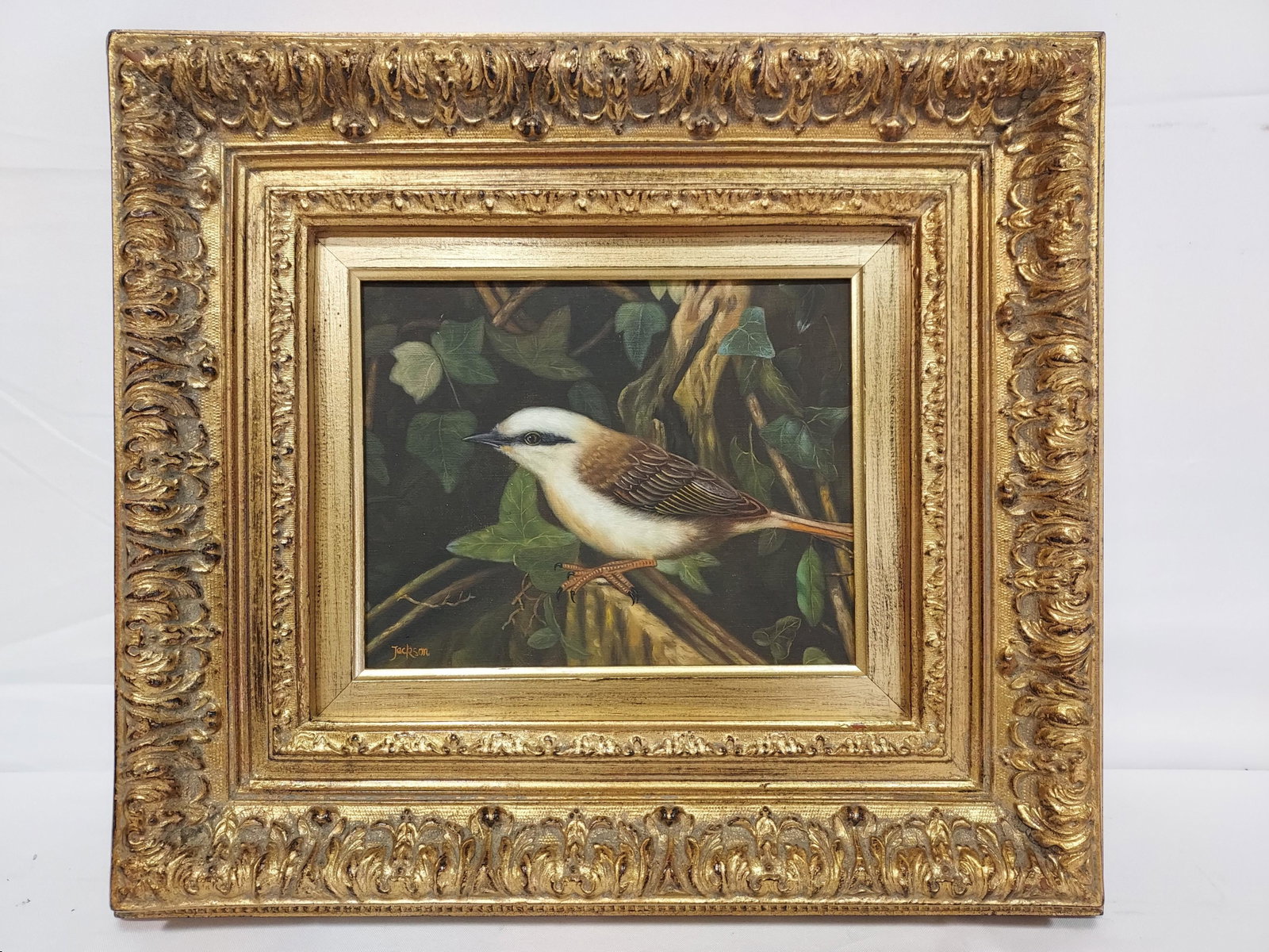 BRADLEY JACKSON ACRYLIC ON CANVAS PAINTING: Bradley Jackson acrylic on canvas painting of a small bird (Red-backed Shrike). Signed lower left. Framed measuring a total of 16.75" tall x 18.75" wide. Condition: good, see images. Weight: 5 lbs.