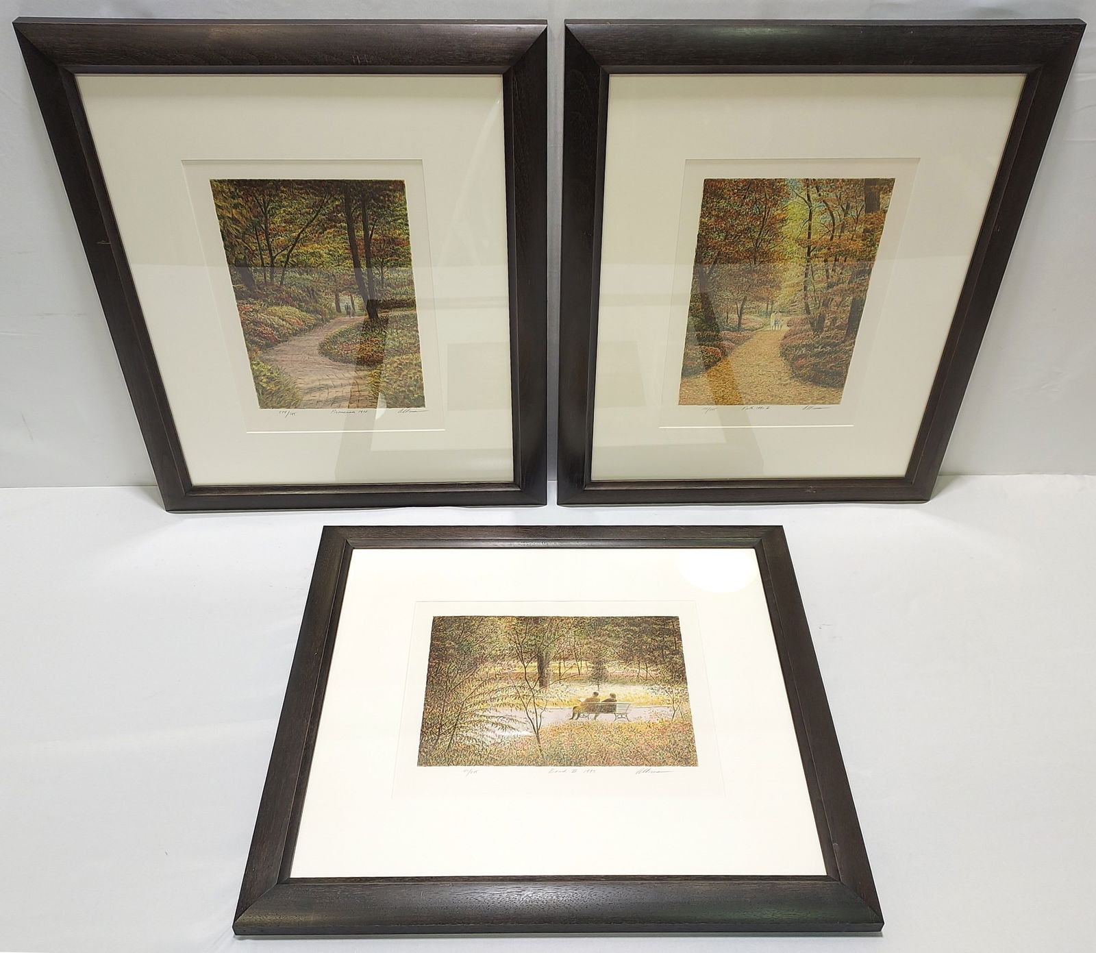 3 HAROLD ALTMANN HAND SIGNED & FRAMED LITHOGRAPHS (1 of 20)