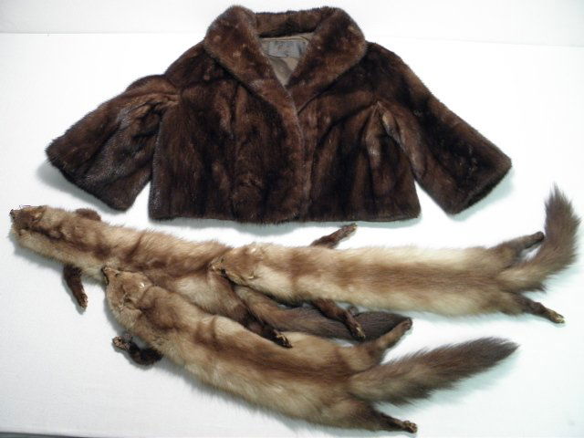 VINTAGE EVANS LUNARAINE MINK JACKET & STOLE: Vintage lunaraine mink jacket by Evans Chicago. 3/4 sleeves, with a brown/grey silk interior. Initials "BDP" stitched into silk on the right side. Tag behind neck reads "Evans Chicago". Back length fr