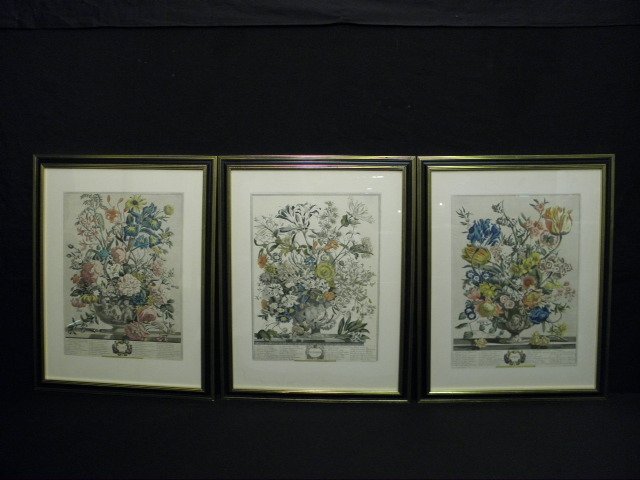 THREE ROBERT FURBER FLORAL ENGRAVINGS: BIRTH MONTH: Three Robert Furber hand-colored floral birth month engravings. "April", "June", and "October" from Twelve Months of Flowers, circa 1730, engraved by Henry Fletcher (British, 1715-1744), published by 