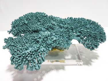 LARGE GREEN DYED NATURAL MILLEPORA CORAL DISPLAY